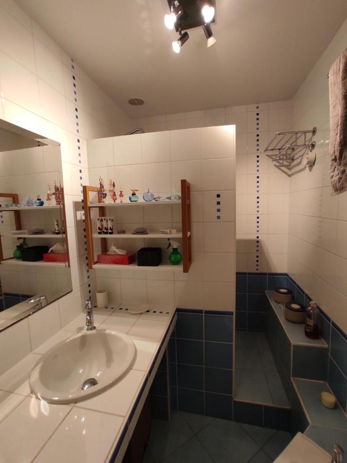 Appartement CALME PROCHE TOULOUSE Saint Jean de Luz Extérieur photo